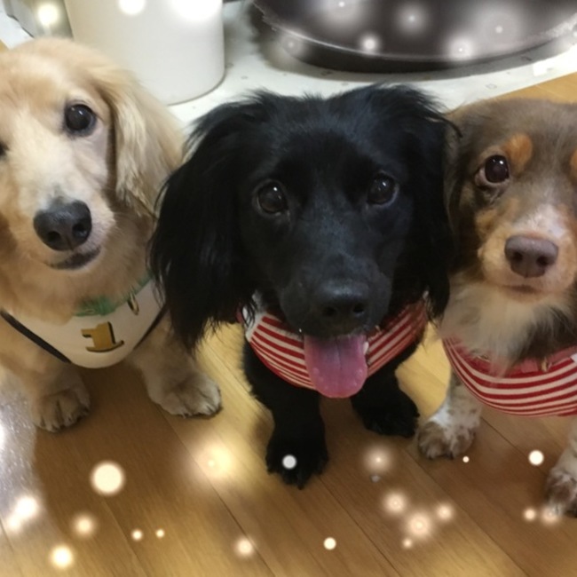 なみへい7373のカバー写真