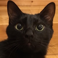 かいと