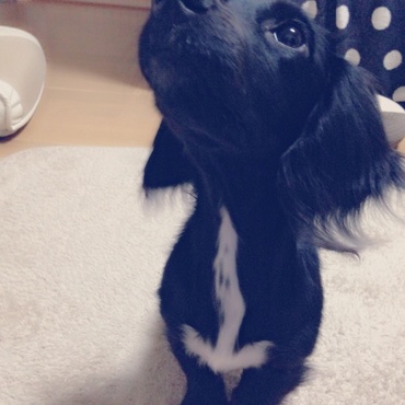 BBの写真