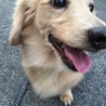 の写真