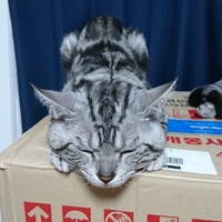鉄平