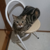 杏斗(はると)
