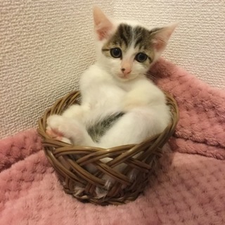 感謝！とっても優しくママに出逢えました！