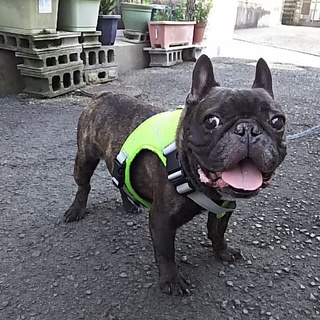 帰るお家が在りません！！