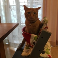みるく