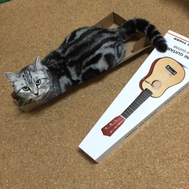 noriko.tのカバー写真