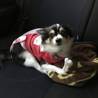 ちぃ