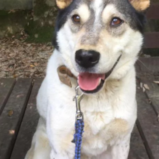 センターから引き出した　オスカー君