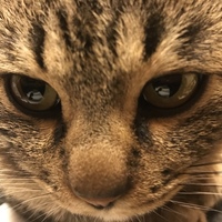 次郎吉