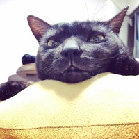 いかみみ