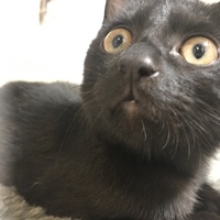 うに
