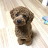 おやつ欲しい。。。