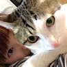  さん