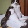 の写真