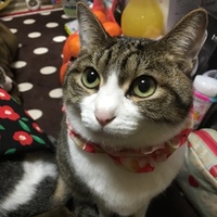 ちぃ