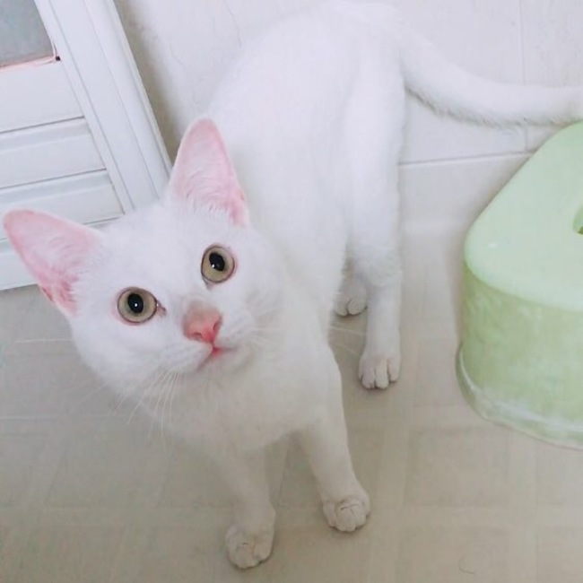 堺さんさんのカバー写真