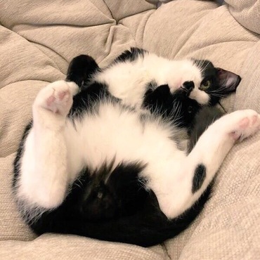 の写真