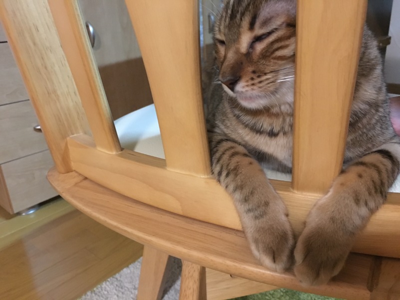 nico