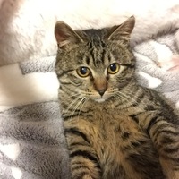 まる