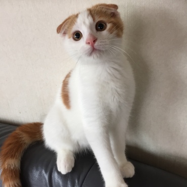 みず君日々成長中