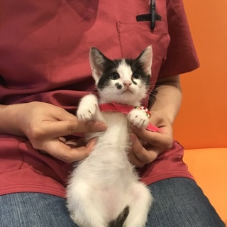 無事に暖かい家族出来ました！