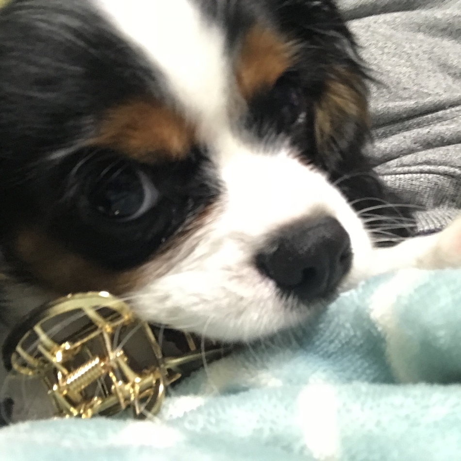 ソルのカバー写真