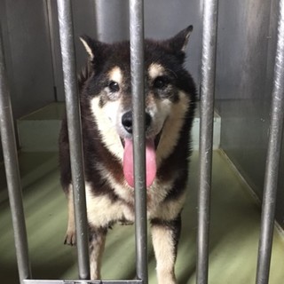 元気いっぱい！食いしん坊のマリオくん