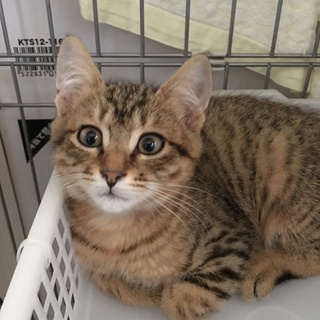 ♪少しシャイな可愛い大（たい）くん♪