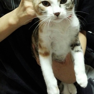 元気で甘えん坊な女の子