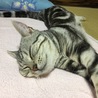 の写真