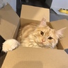 ハウル