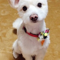 こたろう