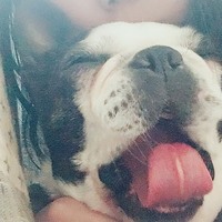 りんか