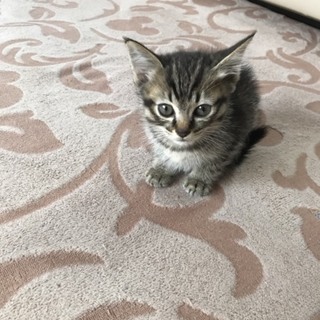 3姉弟で一番小さな男の子