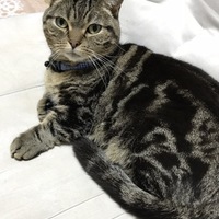 リン