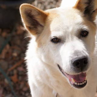 最良のパートナーです