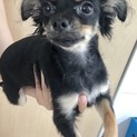 沢山のご応募ありがとうございました。
