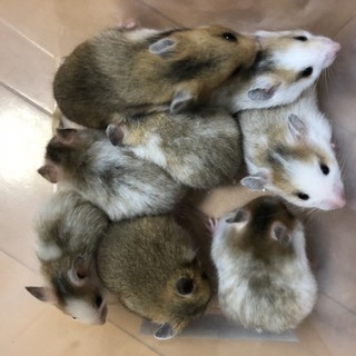 ありがとうございました❗️