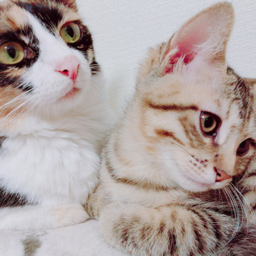 聖と子にゃん♡