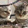 柚葉&暦♡