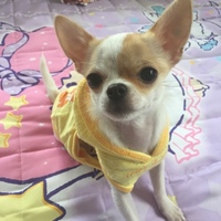 うめ