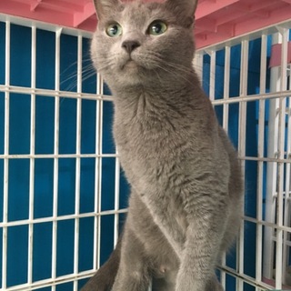 音にゃんさん、お迎え予定