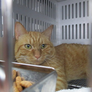 6/25朝に収容期限を迎えます。