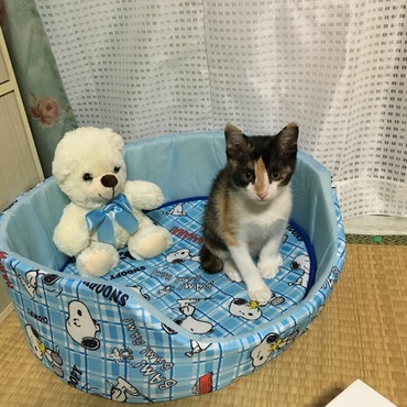 の写真