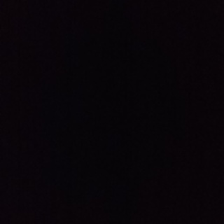 雌のセキセイインコちゃんの里親さま