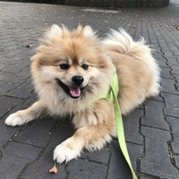 へいぞう