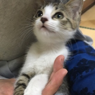 ありがとうございます☆すみれちゃん