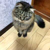 なっとう