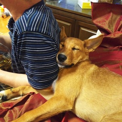 「鯵の開き・・改めエマの開き」サムネイル2