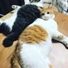 の写真